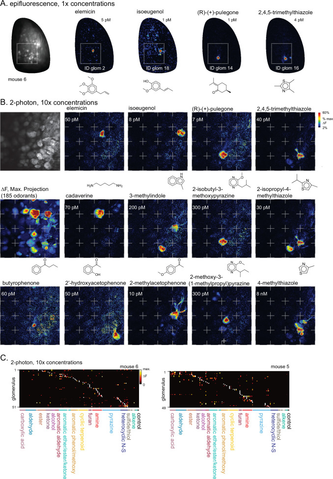 Figure 1—figure supplement 4.