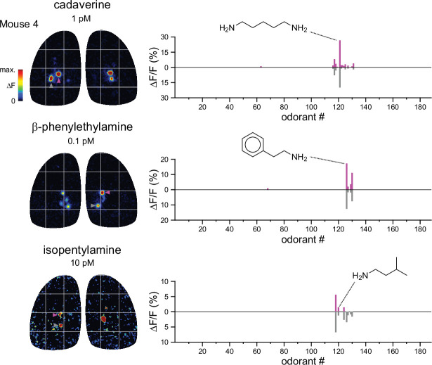 Figure 2—figure supplement 2.