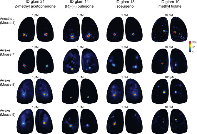 Figure 2—figure supplement 1.