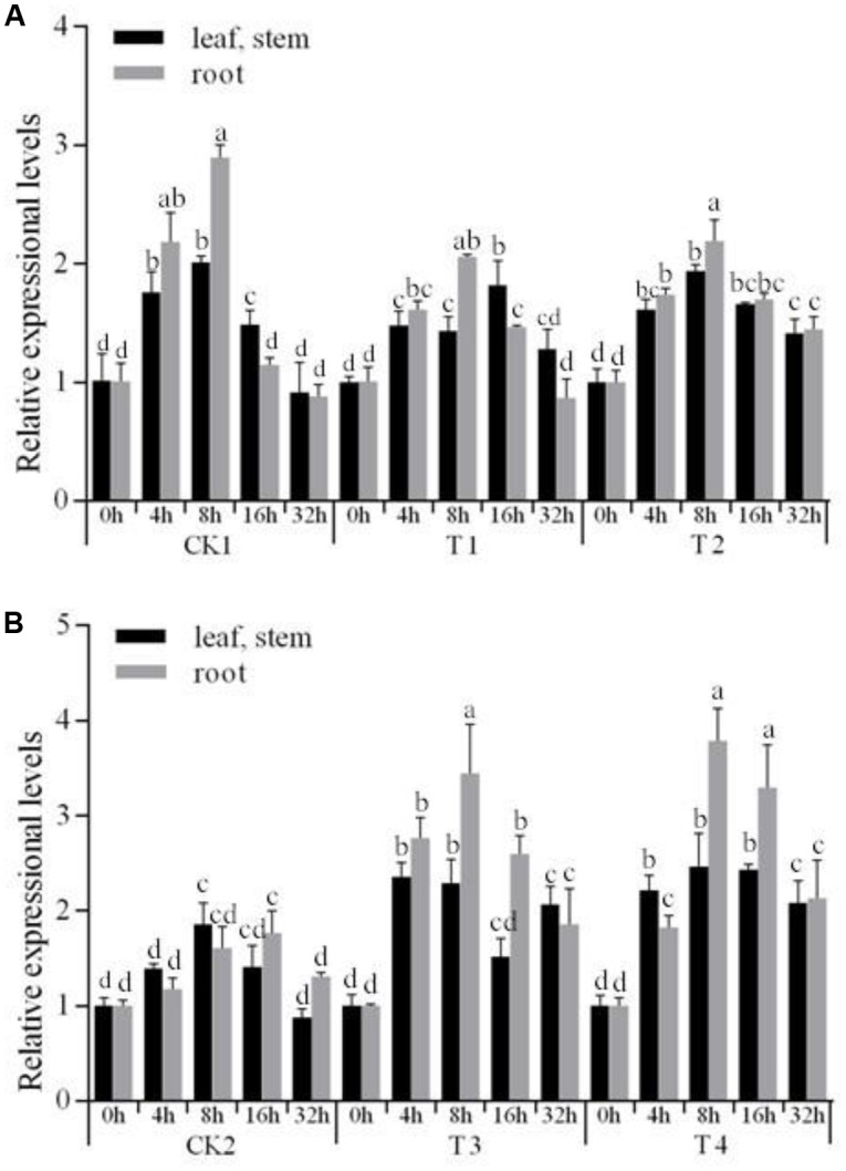 FIGURE 4