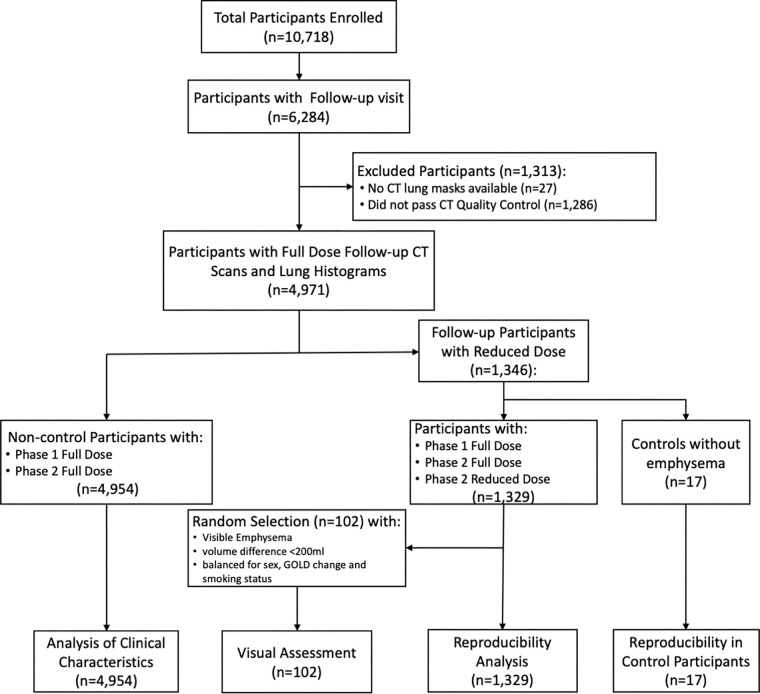 Flow diagram of participant selection. Participants were included from the Genetic Epidemiology of Chronic Obstructive Pulmonary Disease (COPDGene) study, including individuals with and those without spirometric chronic obstructive pulmonary disease. GOLD = Global Initiative for Chronic Obstructive Lung Disease.