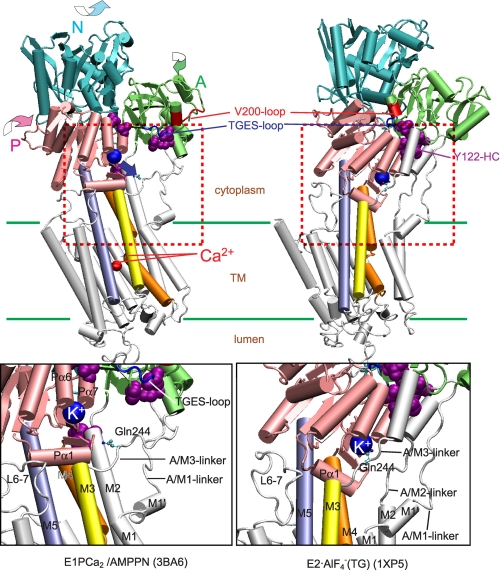 FIGURE 9.