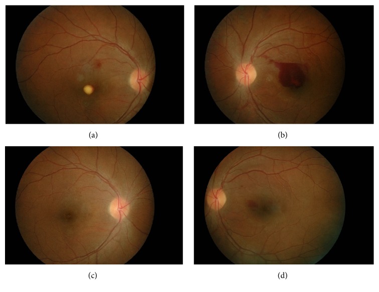 Figure 2