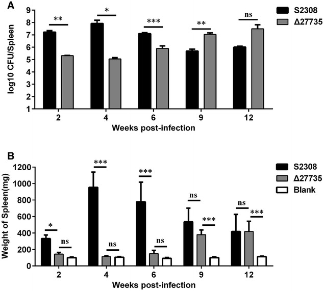 Figure 5