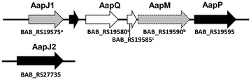 Figure 1