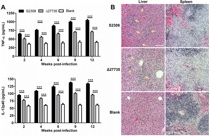 Figure 6