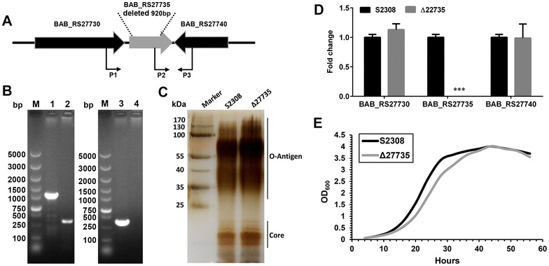 Figure 2