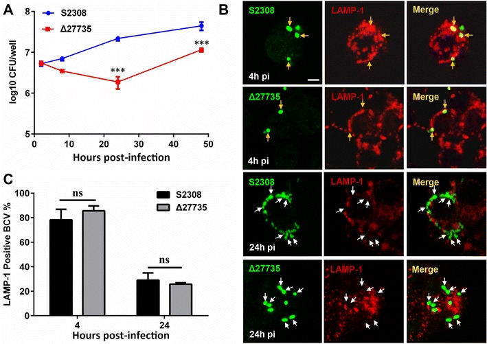 Figure 4