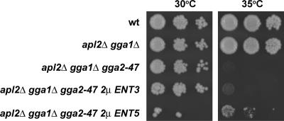 Figure 10.