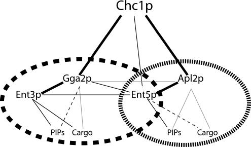 Figure 11.