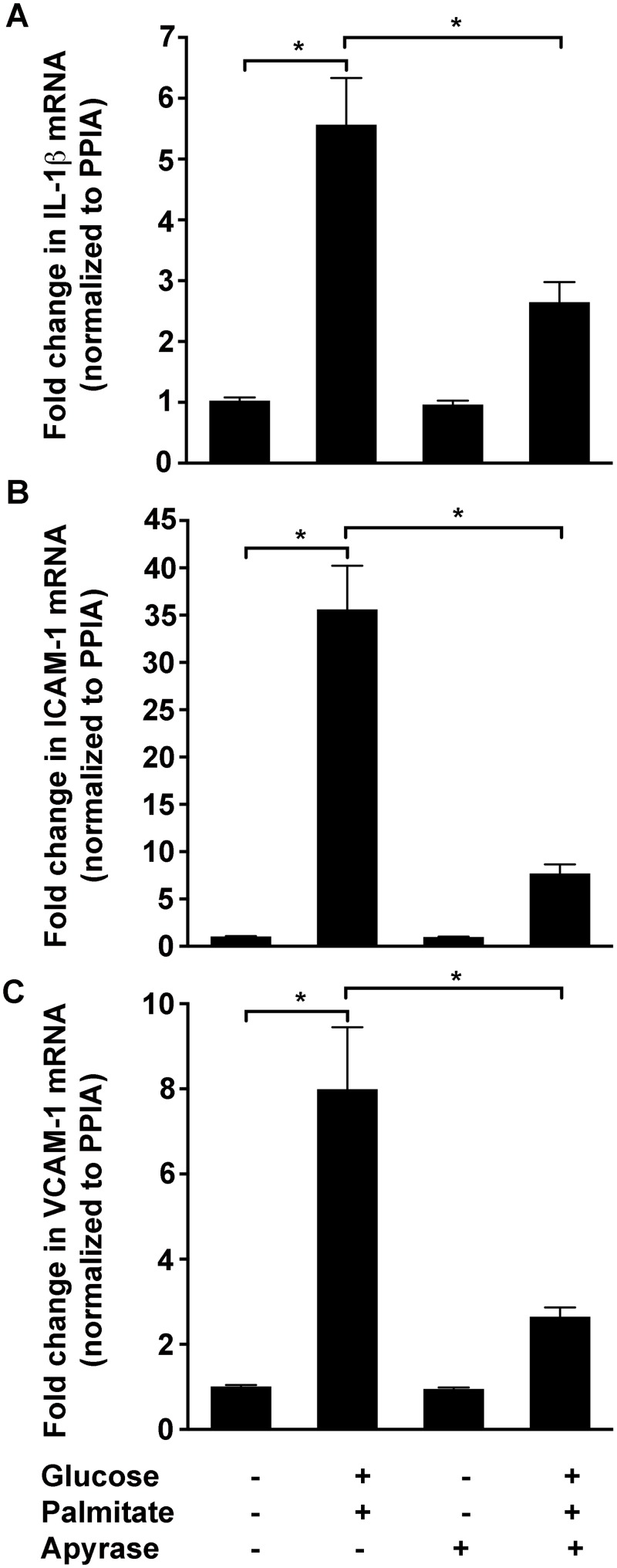 Fig 5