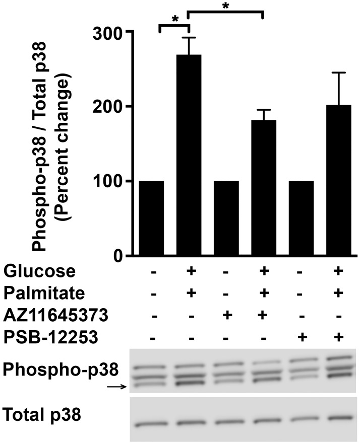 Fig 10