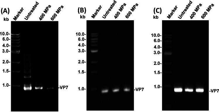 FIG 8