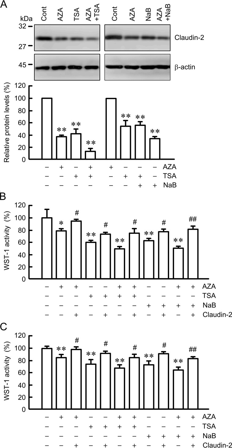 FIGURE 10.