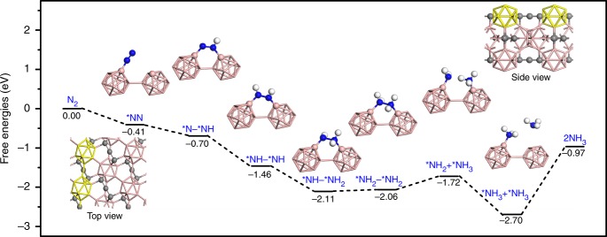 Fig. 4