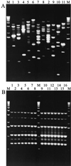 FIG. 3