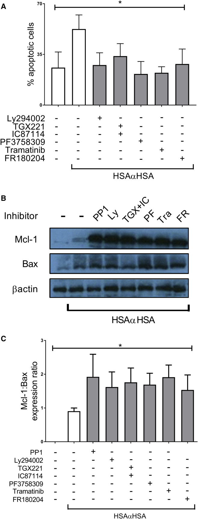 Figure 6