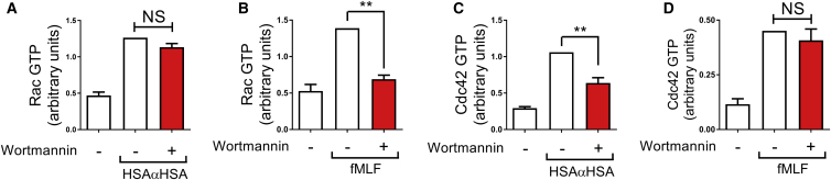 Figure 5