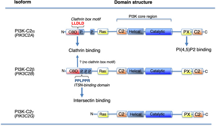 Figure 1.