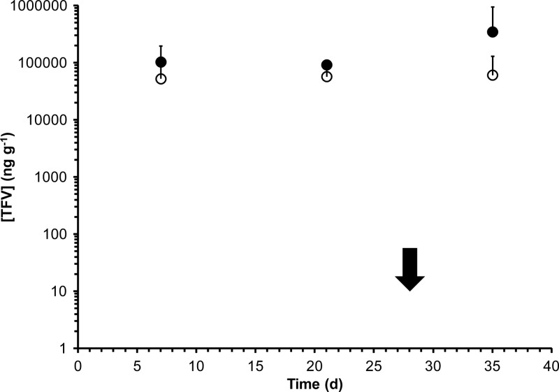 Fig 6