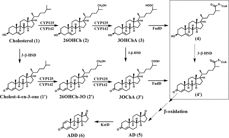 FIGURE 1.