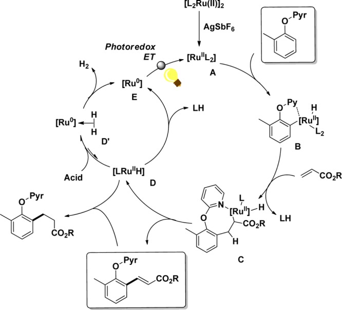 Scheme 14