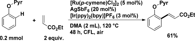 Scheme 13