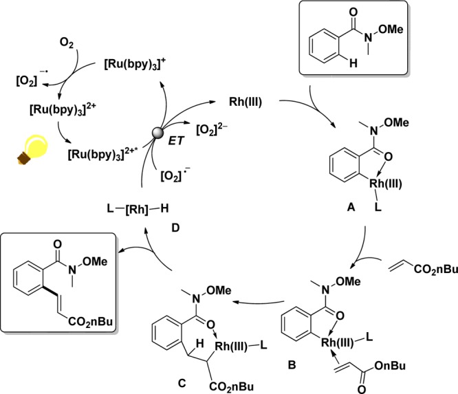 Scheme 6