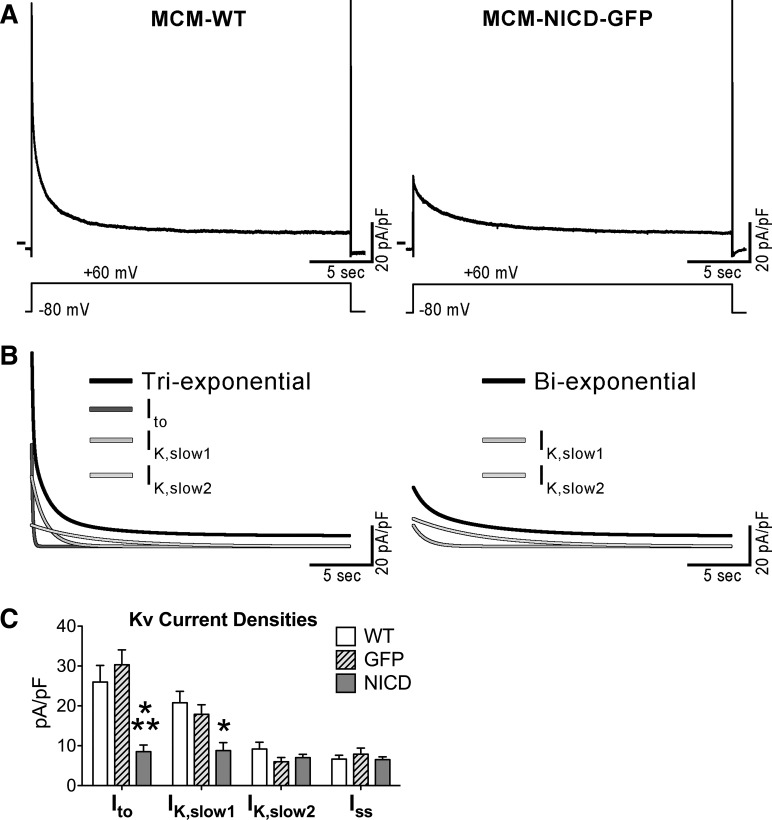 Fig. 4.