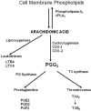Figure-1