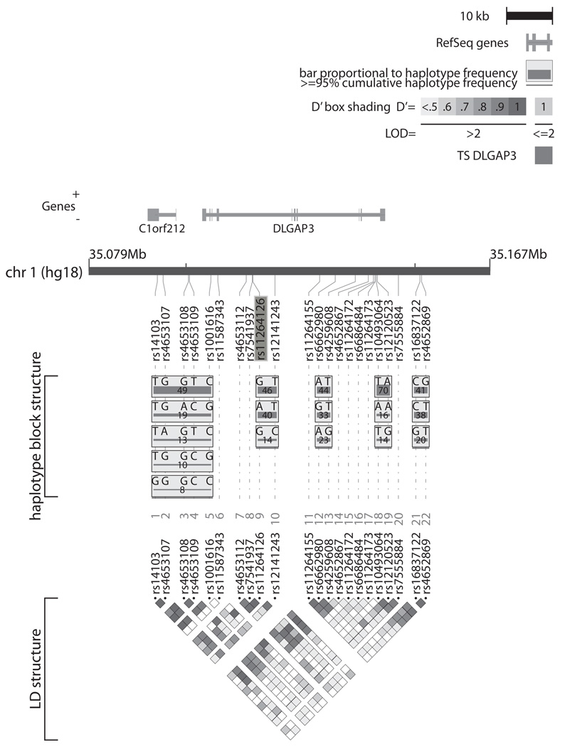 FIGURE 1