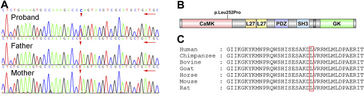 FIGURE 3