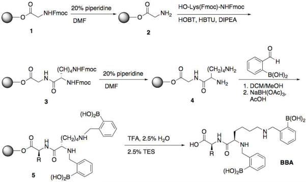 Scheme 3