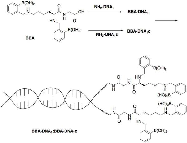 Scheme 1