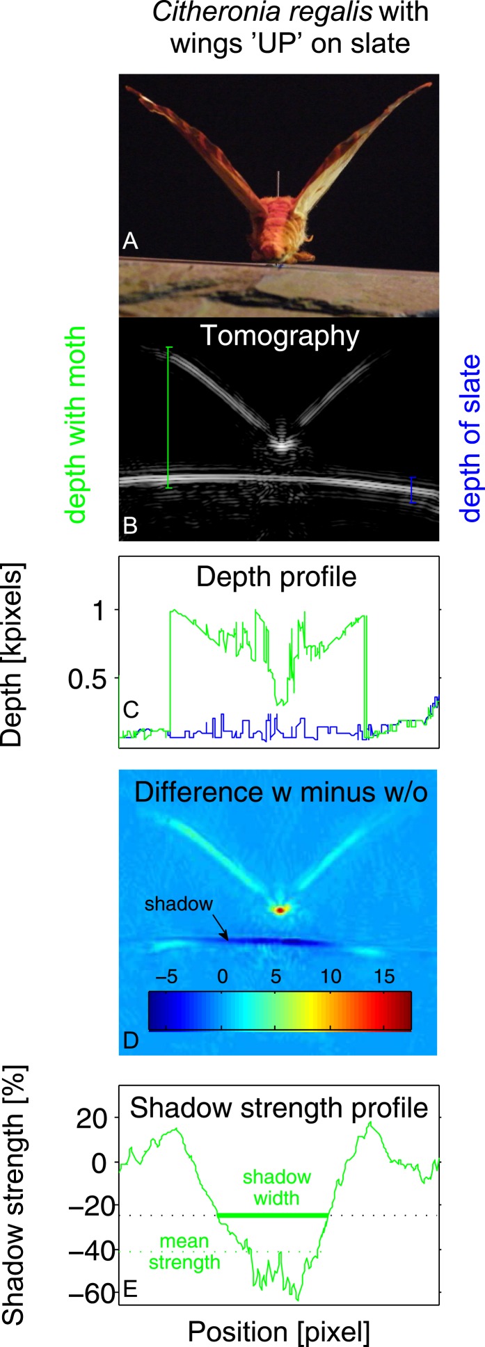 Figure 2.