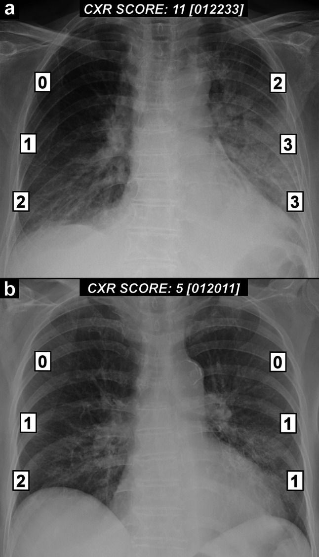 Fig. 1