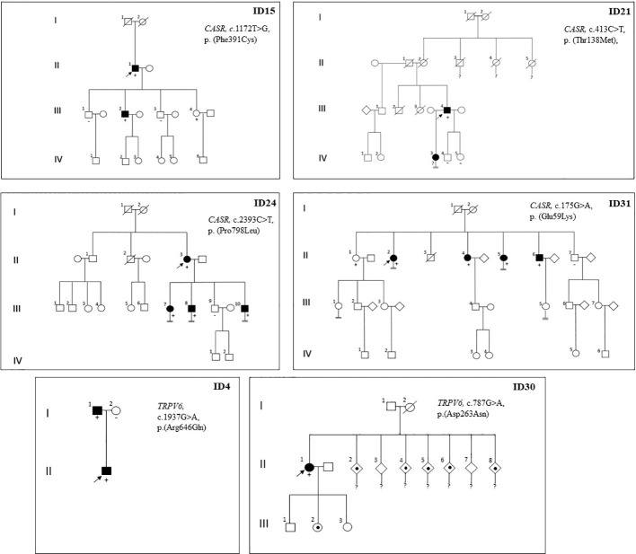 Figure 2