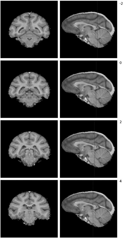 Fig. S3