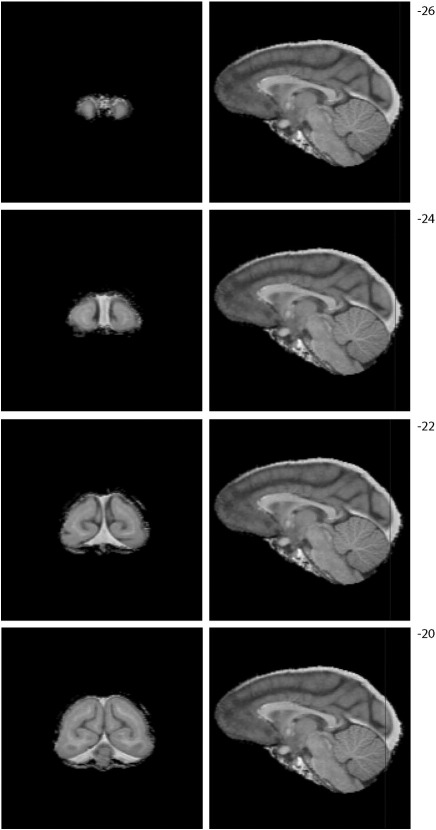 Fig. S3