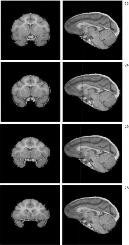 Fig. S3