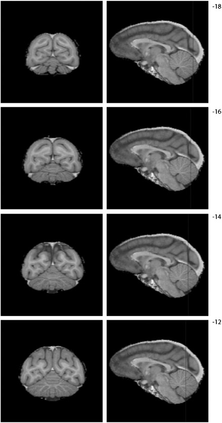 Fig. S3