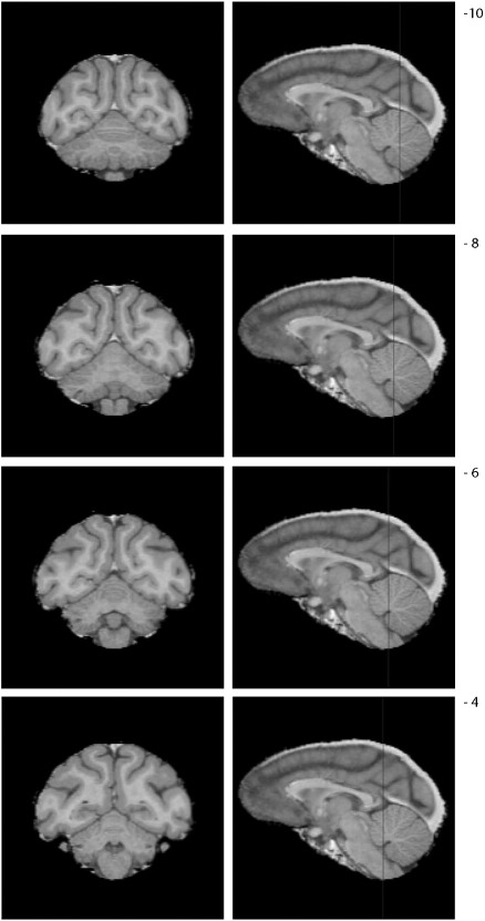 Fig. S3