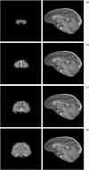 Fig. S3