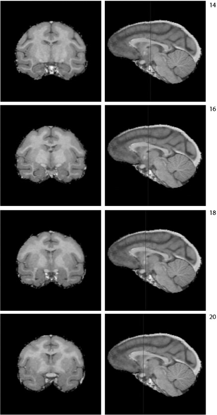 Fig. S3