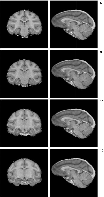 Fig. S3