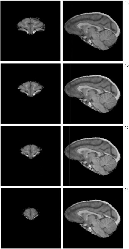 Fig. S3