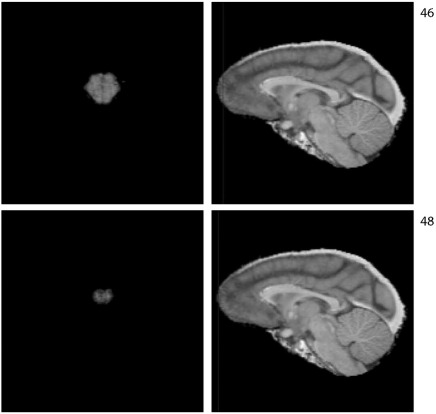 Fig. S3