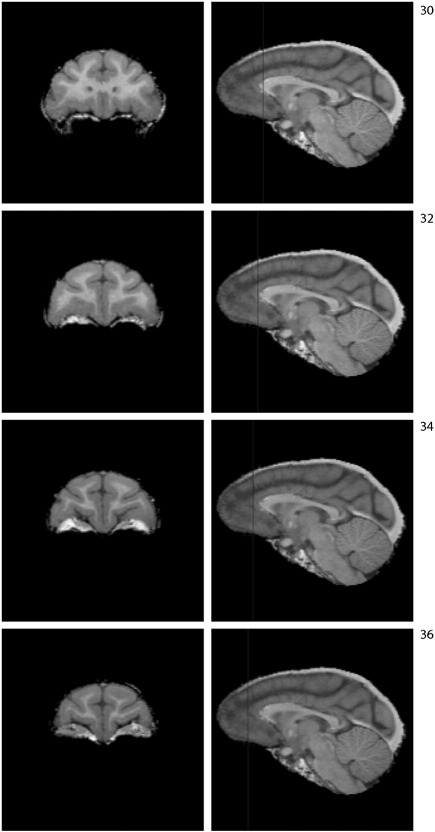 Fig. S3