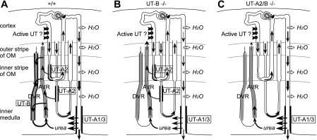 Fig. 9.