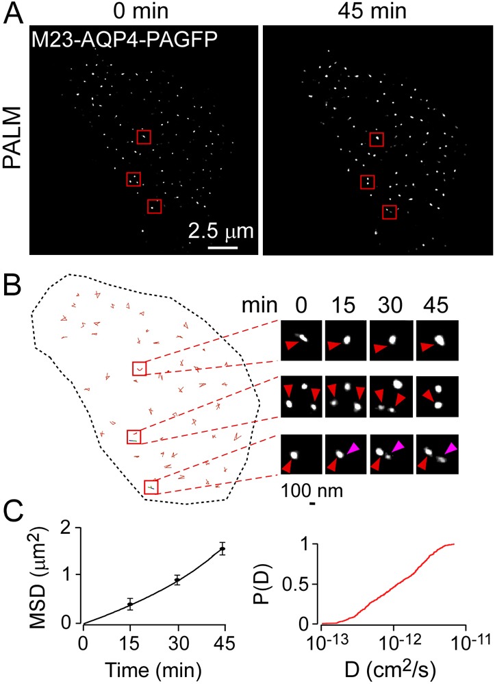 Fig. 7.